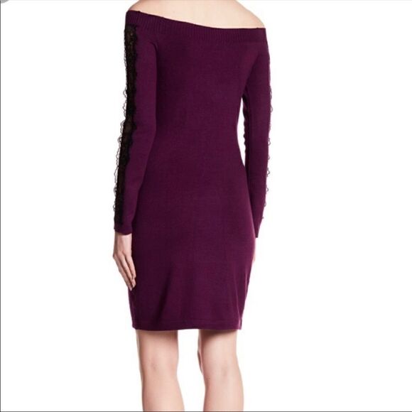 Cynthia Steffe Purple Bodycon Dress with Lace - Picture 3 of 4